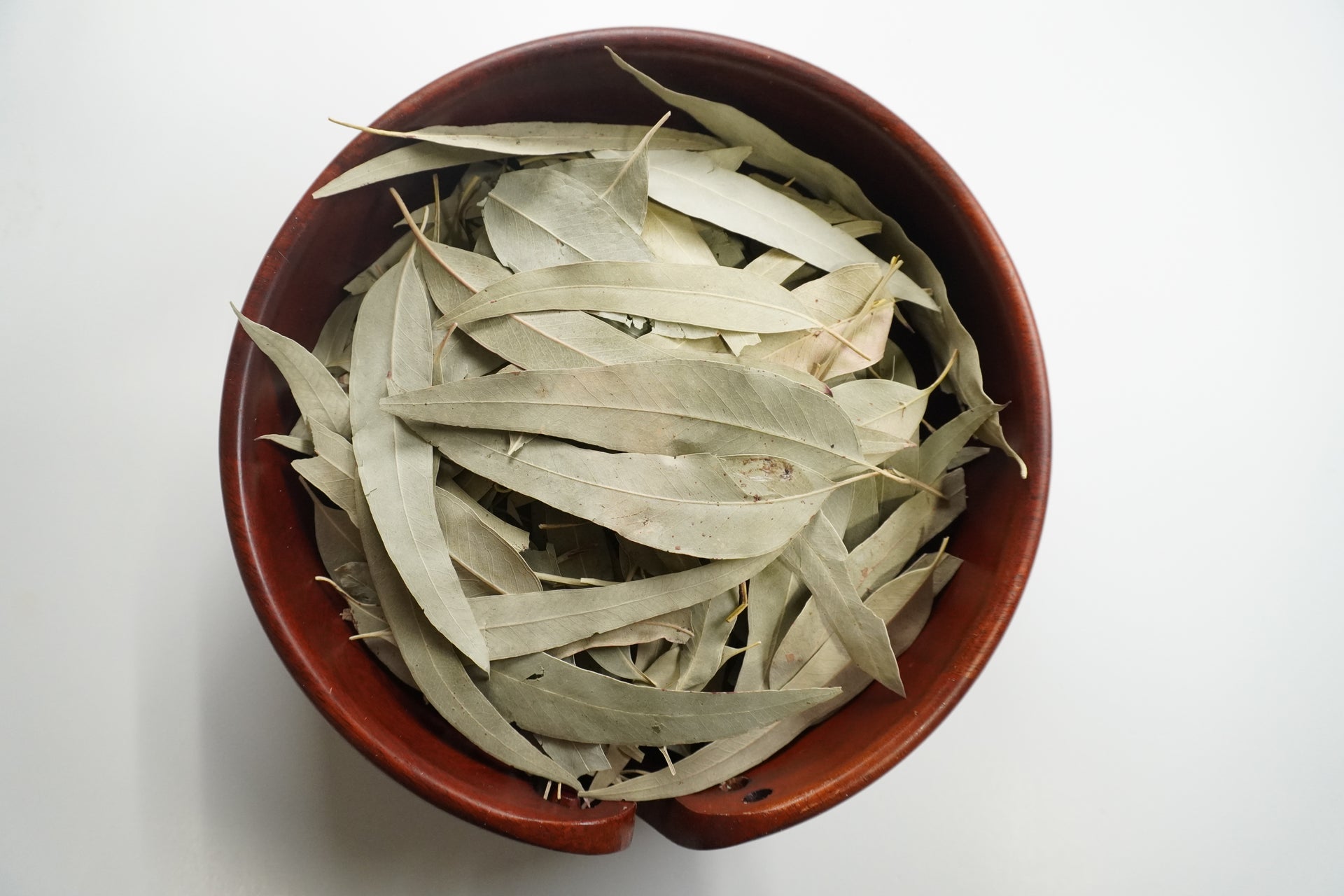 Eucalyptus Leaves