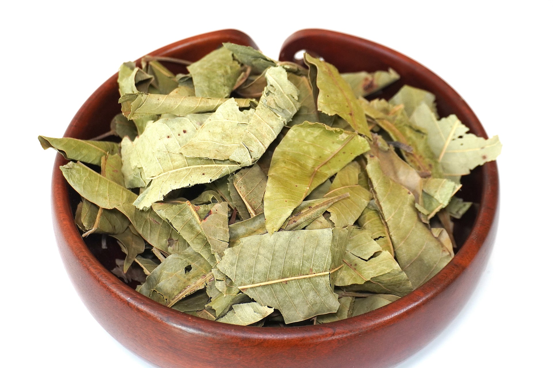 Hoja de Mango (Mango Leaf)