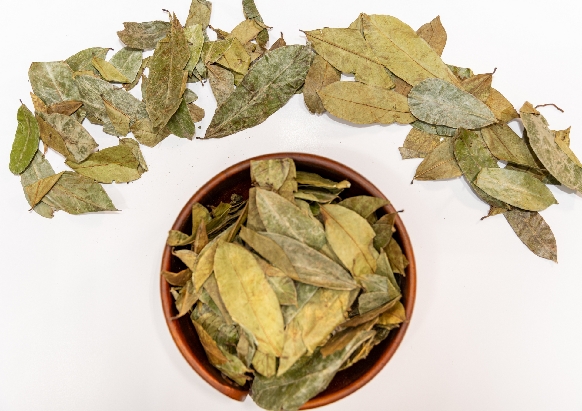 Soursop Leaves